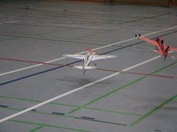halle17032025 5